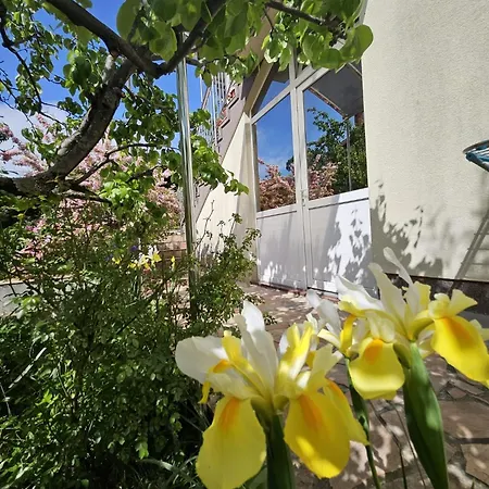 Appartement With Parking Space Matulji, Opatija - 23539 *