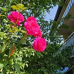 Appartement With Parking Space Matulji, Opatija - 23539 *