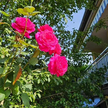 Apartment With Parking Space Matulji, Opatija - 23539 *